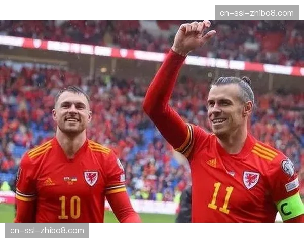 欧洲区附加赛：威尔士0-1不敌芬兰，彻底出局