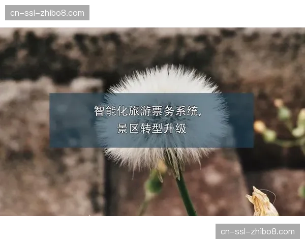 智能票务系统数据安全标准通过欧盟认证